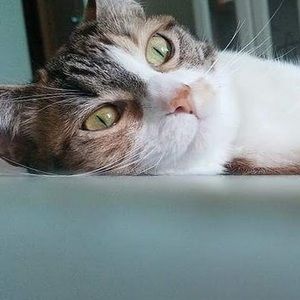 Meet your Posher, Savannah